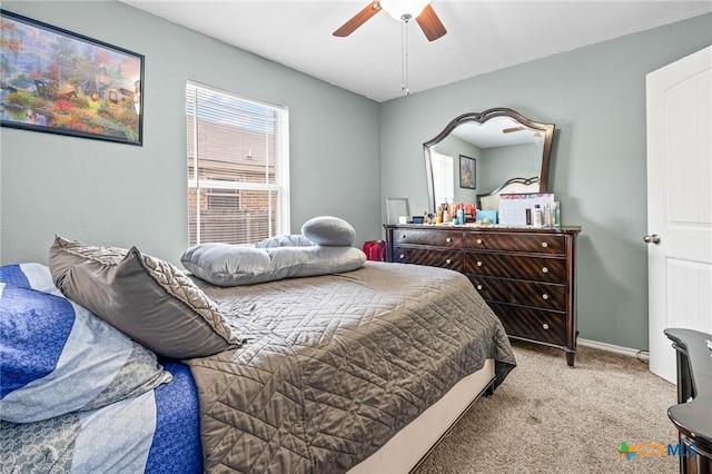5206 Imperial Eagle Dr, Killeen, TX 76549 - photo 22