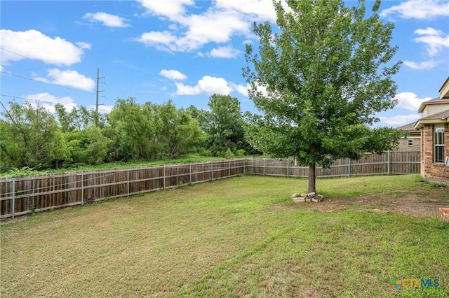5206 Imperial Eagle Dr, Killeen, TX 76549 - photo 5