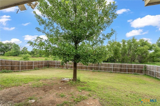 5206 Imperial Eagle Dr, Killeen, TX 76549 - photo 7