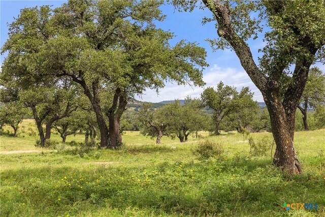 9069-47 Ranch Road 1323, Fredericksburg, TX 78624 - photo 7