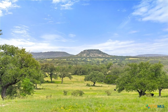 9069-47 Ranch Road 1323, Fredericksburg, TX 78624 - photo 2