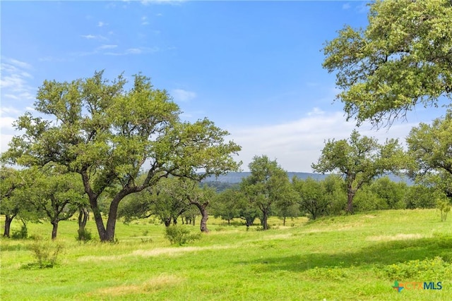 9069-47 Ranch Road 1323, Fredericksburg, TX 78624 - photo 4