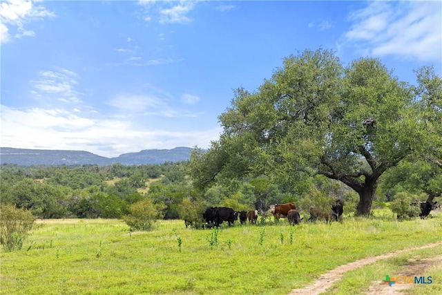 9069-47 Ranch Road 1323, Fredericksburg, TX 78624 - photo 1