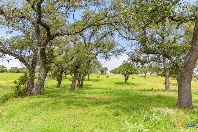 9069-47 Ranch Road 1323, Fredericksburg, TX 78624 - photo 10