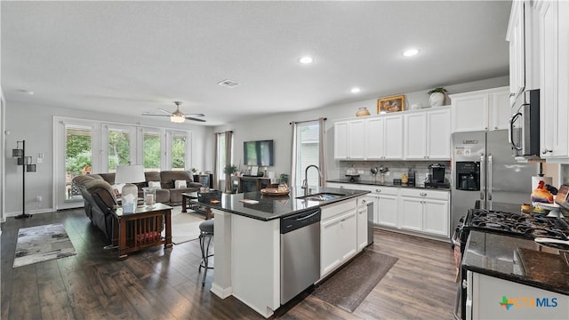 315 Lillianite, New Braunfels, TX 78130 - kitchen with appliances with stainless steel finishes, a sink, open floor plan, ceiling fan, and white cabinetry
