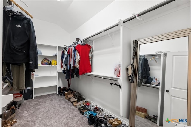 spacious closet featuring carpet flooring and vaulted ceiling