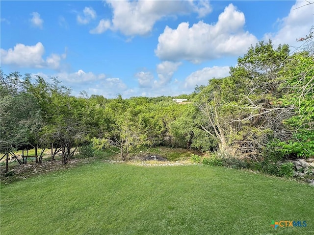 1412 Laurie Dr, Canyon Lake, TX 78133 - view of green lawn