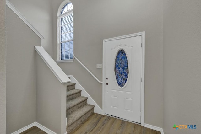 foyer entrance featuring hardwood / wood-style floors