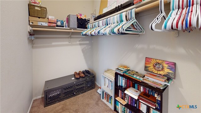 1906 Terry Dr, Copperas Cove, TX 76522 - spacious closet featuring carpet flooring