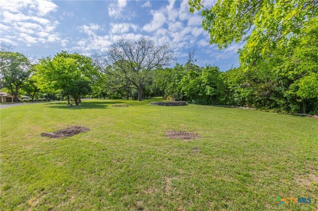2518 Marlandwood Rd, Temple, TX 76502 - view of yard