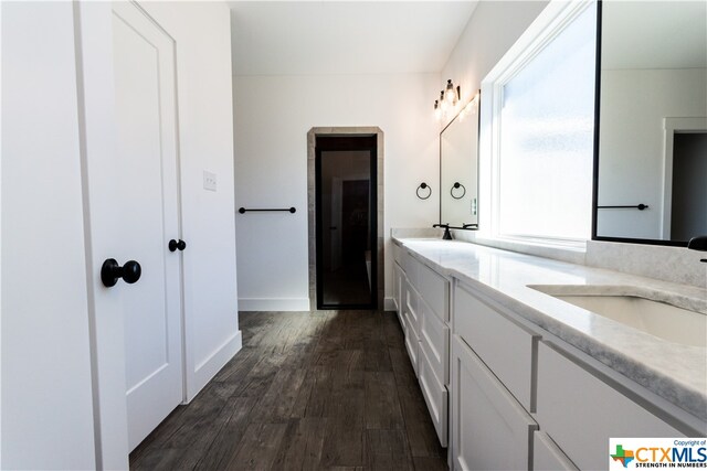 bathroom featuring wood-type flooring and vanity