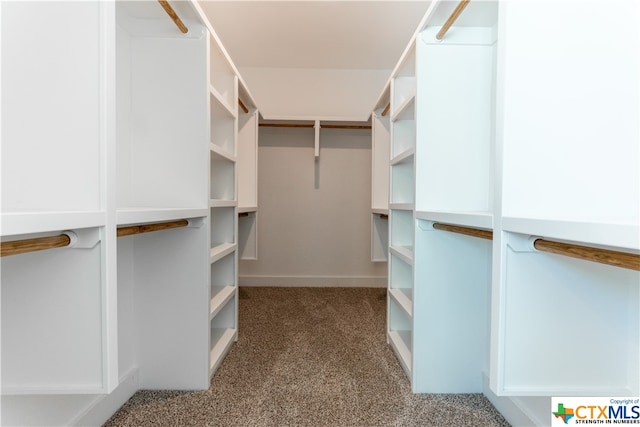 walk in closet with carpet