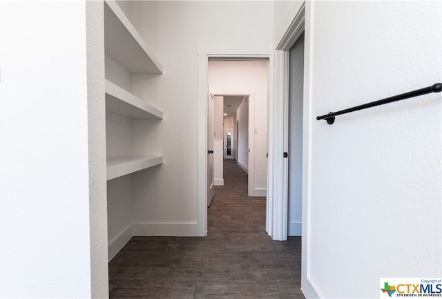 corridor featuring dark hardwood / wood-style flooring