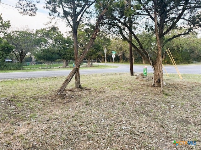 2421 Hornsby, Spring Branch, TX 78070 - view of yard
