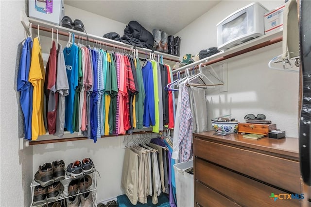 view of spacious closet