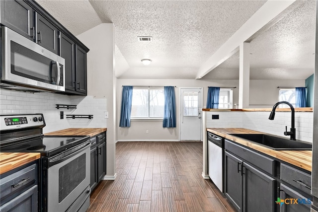 kitchen featuring wood counters, stainless steel appliances, a wealth of natural light, and sink