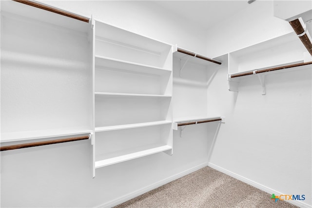 spacious closet with carpet floors