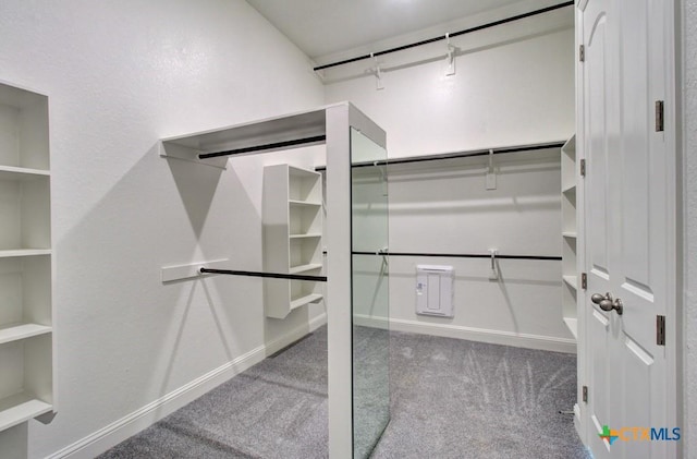 walk in closet featuring carpet floors