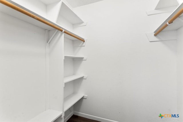 12103 Wycliff Ln, Austin, TX 78727 - view of spacious closet