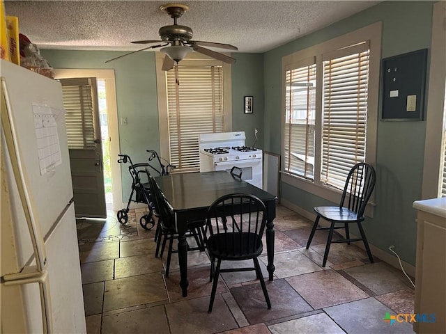 310 Smith Ln Unit A, San Marcos, TX 78666 - dining room with a ceiling fan, baseboards, a textured ceiling, and stone tile flooring