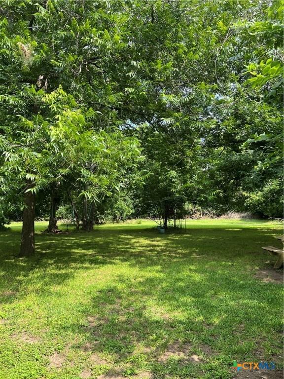 310 Smith Ln Unit A, San Marcos, TX 78666 - view of grassy yard