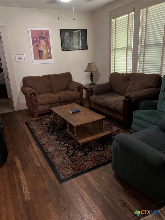 310 Smith Ln Unit A, San Marcos, TX 78666 - living area with wood finished floors and ceiling fan