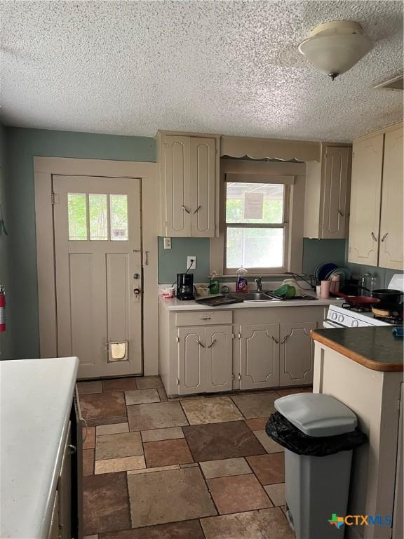 310 Smith Ln Unit A, San Marcos, TX 78666 - kitchen with a textured ceiling, plenty of natural light, a sink, and light stone finish flooring