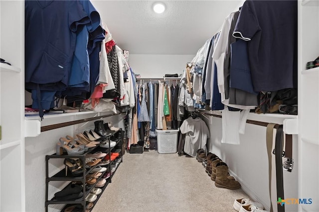 2416 Macdougal St, Nolanville, TX 76559 - walk in closet featuring carpet flooring