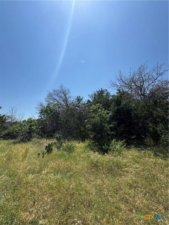 119 Daisy Trl, Belton, TX 76513 - photo 3