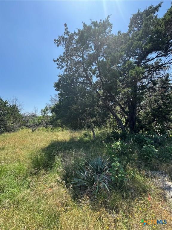 119 Daisy Trl, Belton, TX 76513 - photo 2