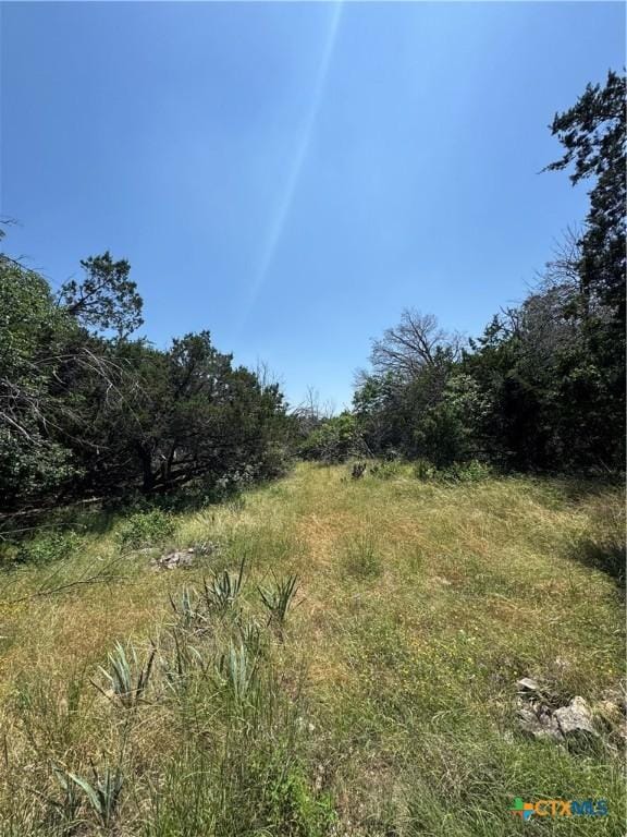 119 Daisy Trl, Belton, TX 76513 - photo 1