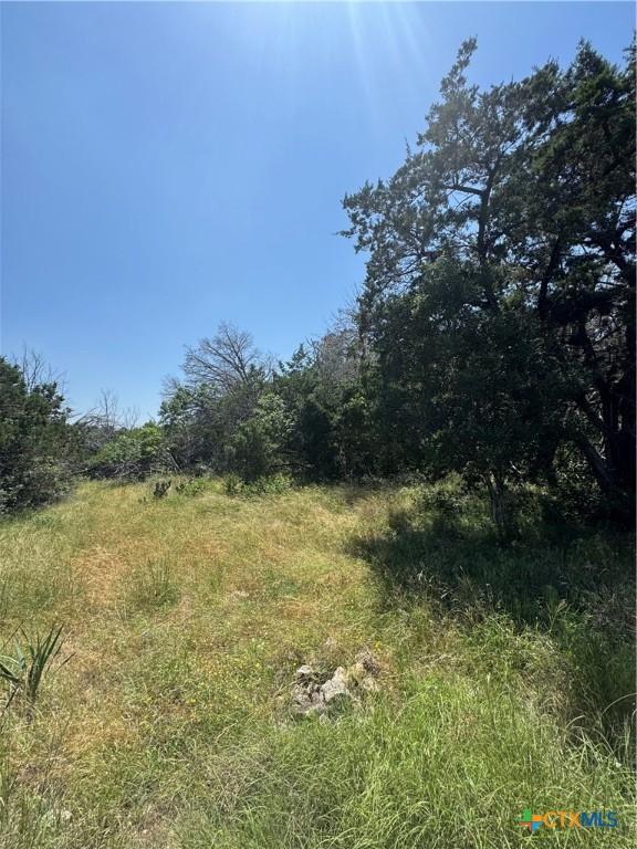 119 Daisy Trl, Belton, TX 76513 - photo 4