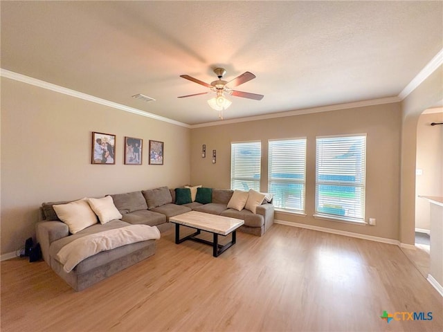 2321 Vicksburg Ln, Temple, TX 76504 - living area with ceiling fan, light wood-type flooring, and crown molding