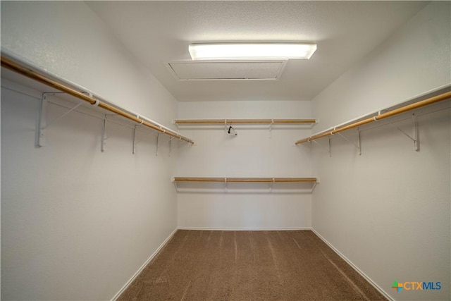 5414 Birmingham Cir, Killeen, TX 76542 - walk in closet with attic access and carpet