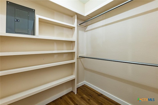 walk in closet featuring dark hardwood / wood-style flooring and electric panel