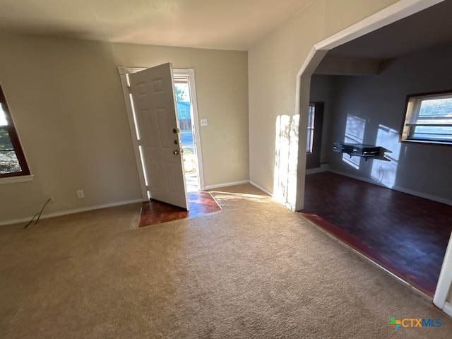 foyer with carpet flooring and plenty of natural light