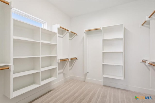 spacious closet featuring carpet