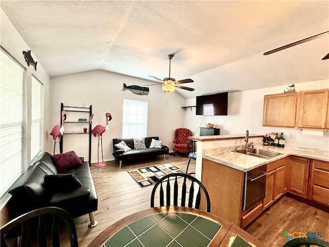 kitchen featuring hardwood / wood-style flooring, lofted ceiling, sink, and ceiling fan