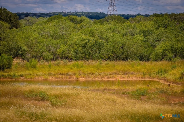 451 Rawhide Rd, Seguin, TX 78155 - photo 14
