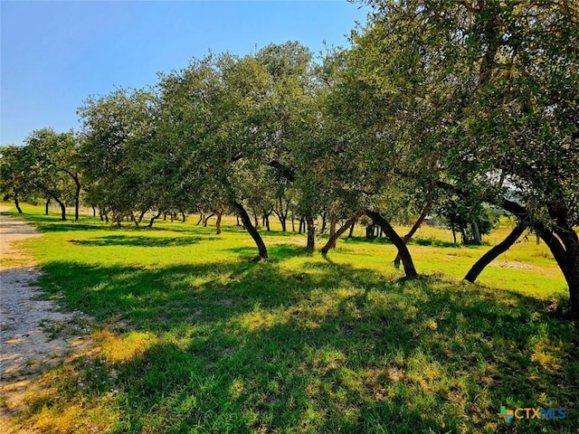 view of property's community featuring a yard