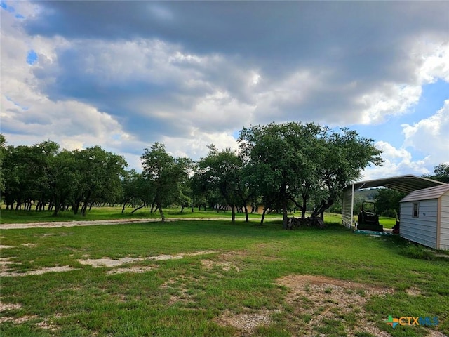 view of yard featuring a carport