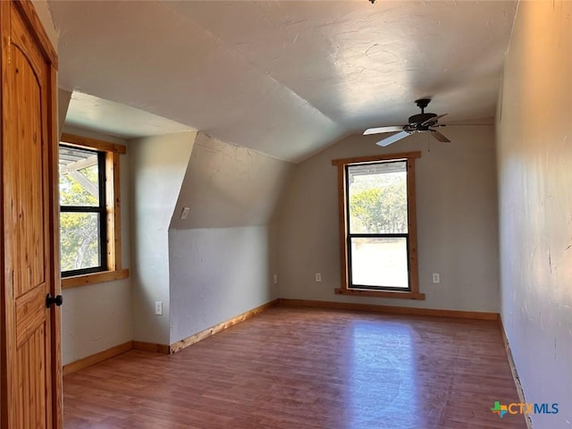 additional living space featuring vaulted ceiling, a wealth of natural light, and light hardwood / wood-style flooring