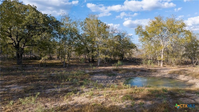 Listing photo 2 for 000 County Road 386, Gonzales TX 78959