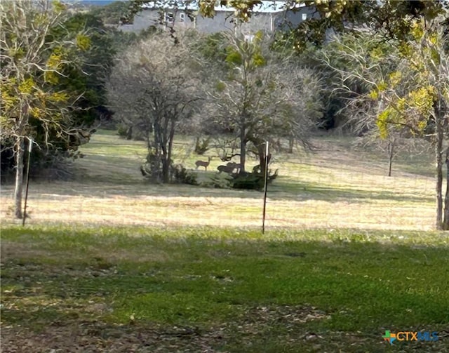 13755 N Lone Star Pkwy, Valley Mills, TX 76689 - view of yard