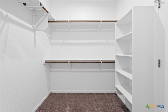 372 Poplin Ln, Troy, TX 76579 - spacious closet featuring carpet flooring