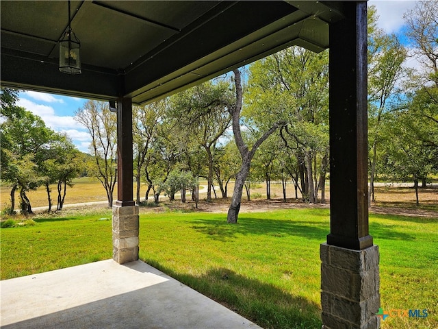 view of yard featuring a patio