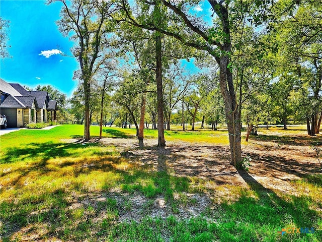 view of home's community with a yard