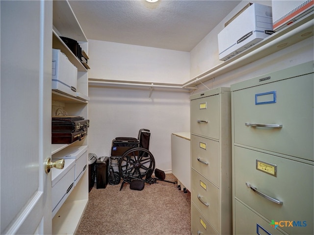 walk in closet with light colored carpet