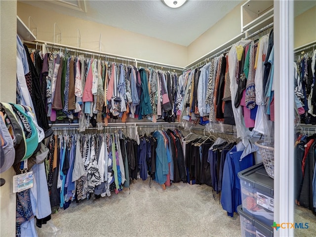 spacious closet featuring carpet floors