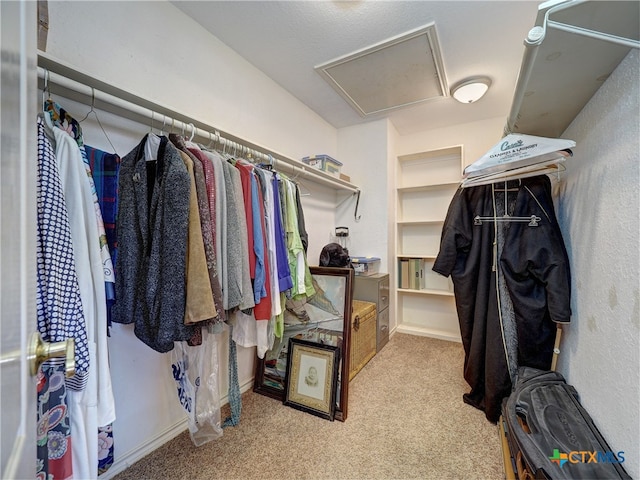 spacious closet featuring light colored carpet